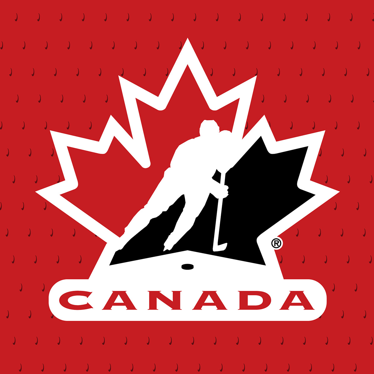 هاکی روی یخ در کانادا,ورزش در کانادا,سفر به کانادا,ویزای تضمینی کانادا,ویزای مولتی 5 ساله کانادا,ویزای توریستی کانادا,سفارت کانادا